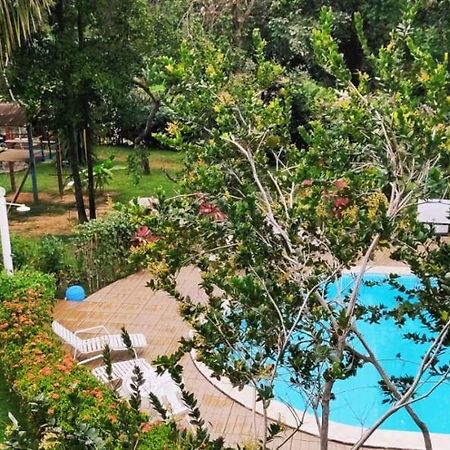Pousada Ecogreen Imbassai Mata de Sao Joao Ngoại thất bức ảnh