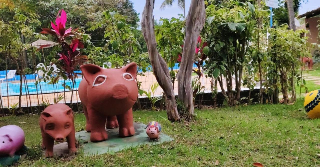 Pousada Ecogreen Imbassai Mata de Sao Joao Ngoại thất bức ảnh